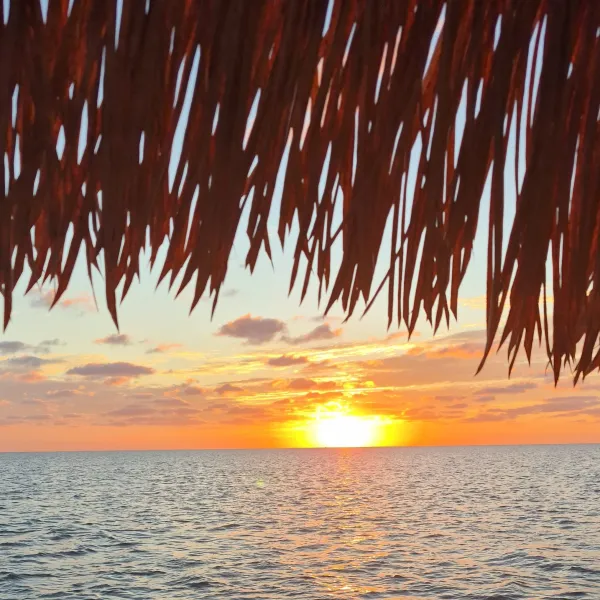 Sunset over ocean with straw roof silhouette in foreground.