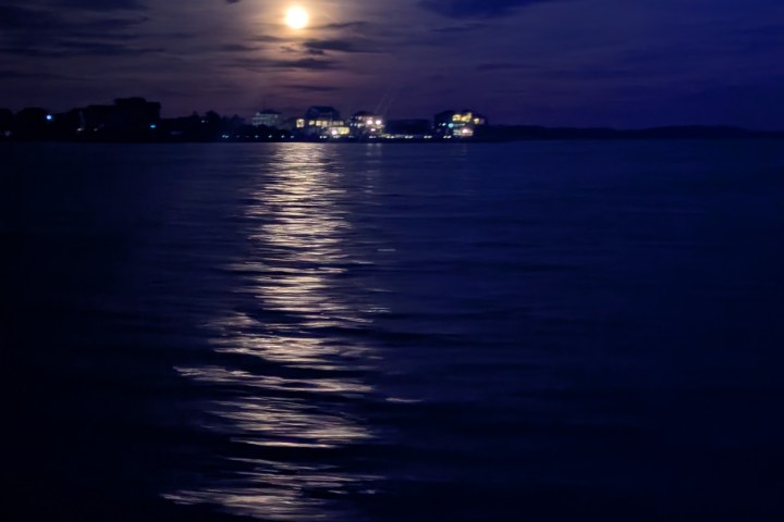 Full moon over water with city lights, night sky, and blue-lit palm leaves.